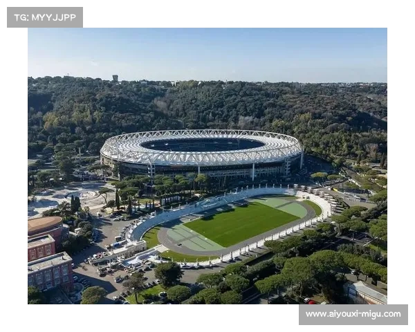 足球文化遗产保护:法国历史悠久的足球俱乐部与场馆维护