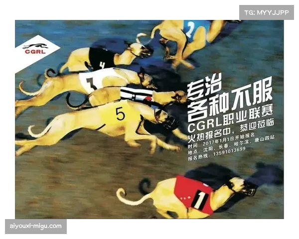 法国体育赛事行业政策调整，应对国内联赛财务波动